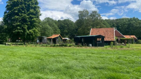 Tiny house, pipowagen onder de kastanje